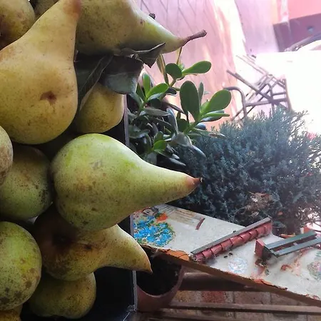 乡村民宿 拉费托利亚戴玻斯盖多农庄酒店 *