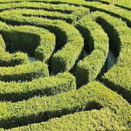 La Fattoria Del Boschetto Casa rural