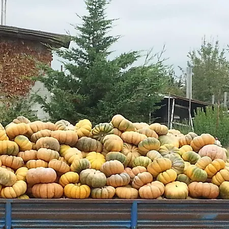 La Fattoria Del Boschetto Fontanellato