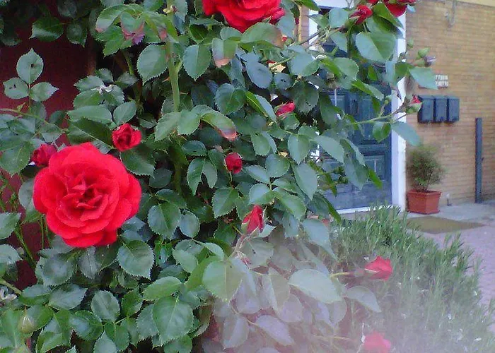 La Fattoria Del Boschetto *