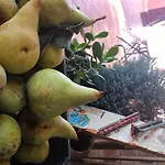 Gospodarstwo wiejskie La Fattoria Del Boschetto *