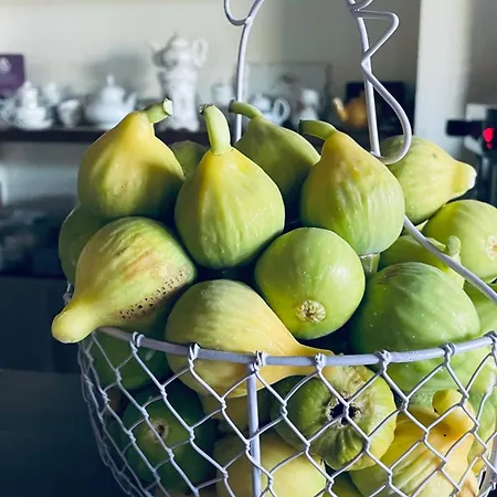 La Fattoria Del Boschetto * Fontanellato